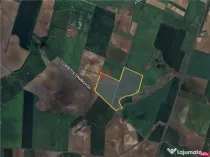 Teren Peris - Crevedia, Ilfov