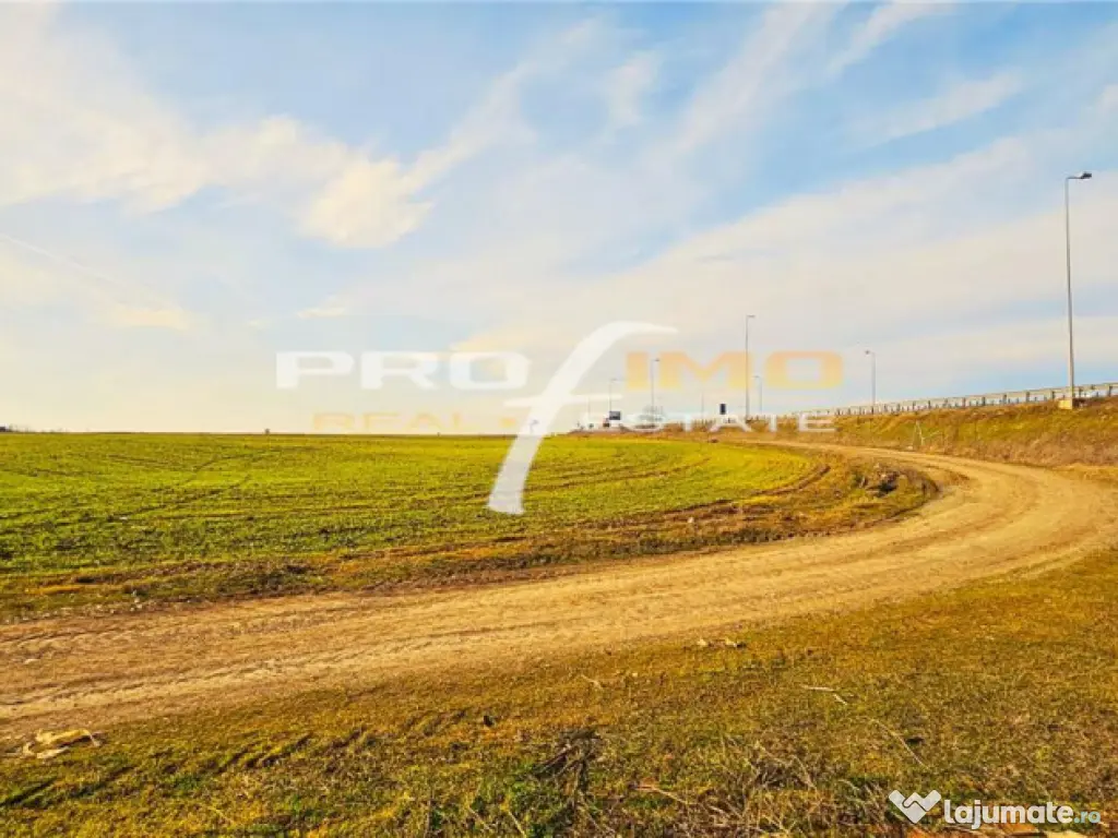 Teren 3823 mp. intravilan - Autostrada - Dedeman Agigea - Agigea (Constanta)