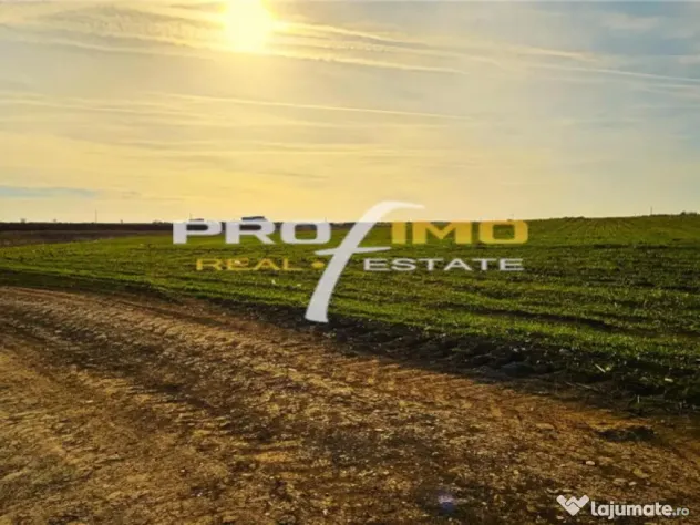 Teren 3823 mp. intravilan - Autostrada - Dedeman Agigea - Agigea (Constanta)