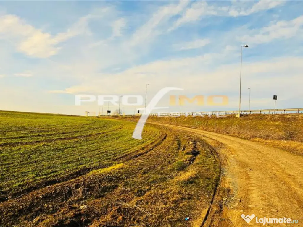 Teren 3823 mp. intravilan - Autostrada - Dedeman Agigea - Agigea (Constanta)