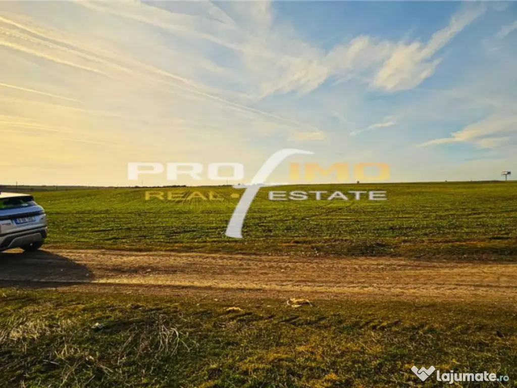 Teren 3823 mp. intravilan - Autostrada - Dedeman Agigea - Agigea (Constanta)