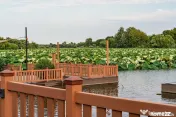 Vilă de lux pe malul Lacului Snagov | Marină privată | 177 mp utili 