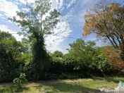 De teren Lilieci, pretabil investitie! 