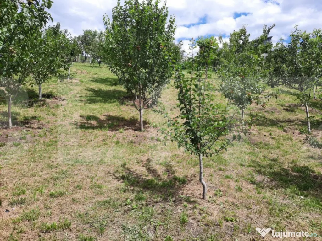 Casa si teren 3450mp, panorama superba asupra orasului