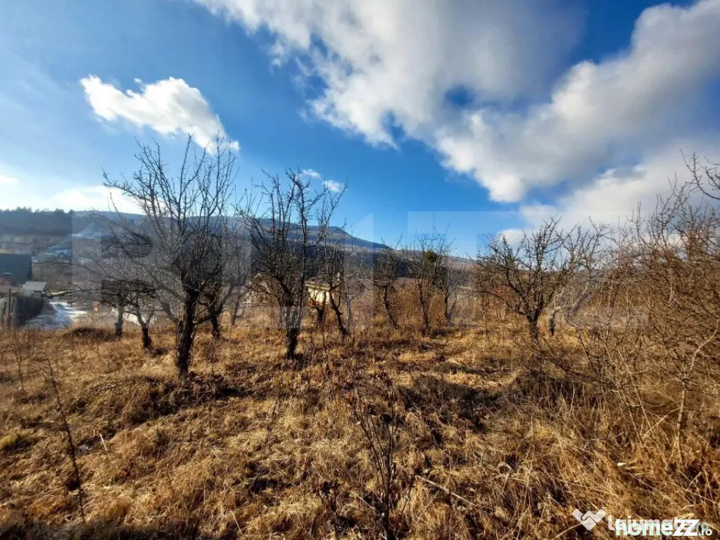 Teren, 1100 mp, zona exterior Nord - Bistrita (Bistrita-Nasaud)