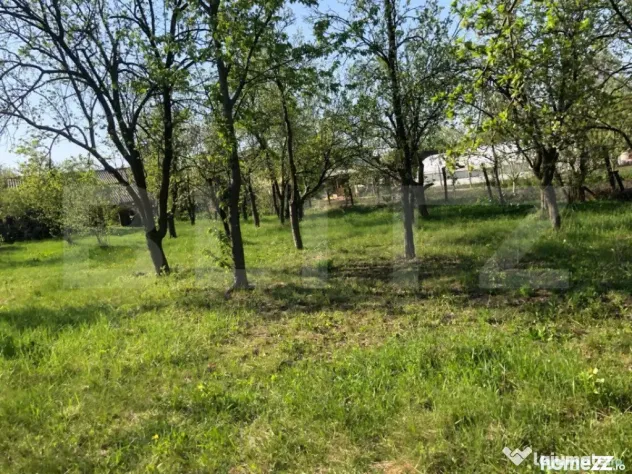 Casa individuala 4 camere, teren 4400 mp , Lazuri - Lazuri (Dambovita)