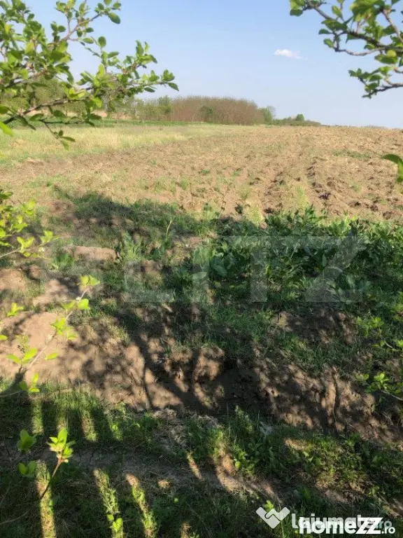 Casa individuala 4 camere, teren 4400 mp , Lazuri - Lazuri (Dambovita)