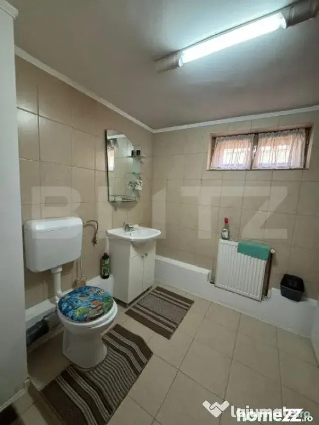 Casa cu destinatii multiple, 8900 mp teren, Vatra Moldovitei - Suceava (Suceava)