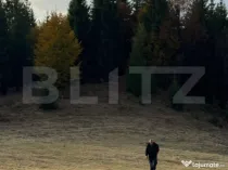 Teren Intravilan, 1000 mp, zona Castelul Dracula - Tihuta