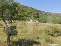 Teren Extravilan, 1300 mp, zona Viisoara