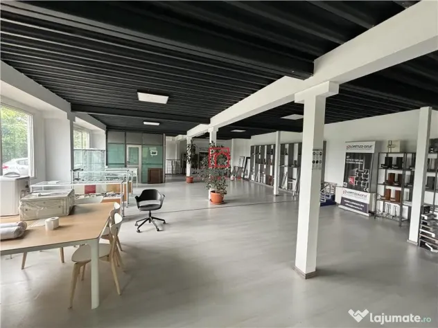 Depozit/hala/spatiu industrial/showroom/birouri Otopeni - B