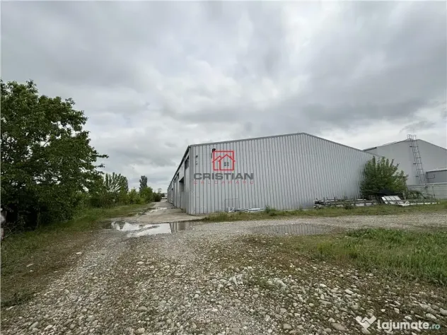Depozit/hala/spatiu industrial/showroom/birouri Otopeni - B