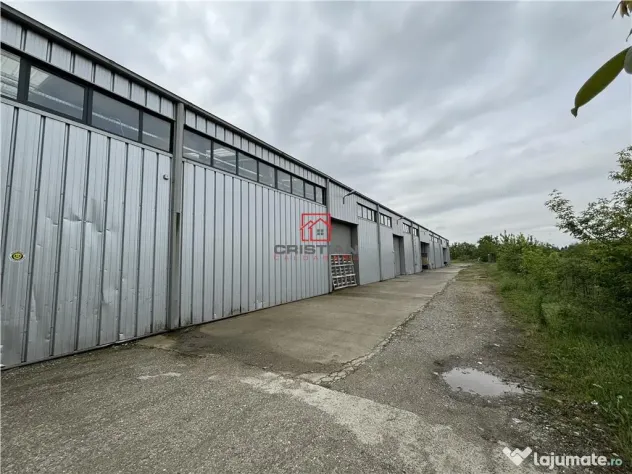 Depozit/hala/spatiu industrial/showroom/birouri Otopeni - B