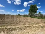 Teren 700mp, zona strada Careiului