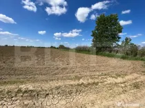 Teren 700mp, zona strada Careiului