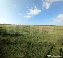 Teren intravilan 5000 mp, Laminorului