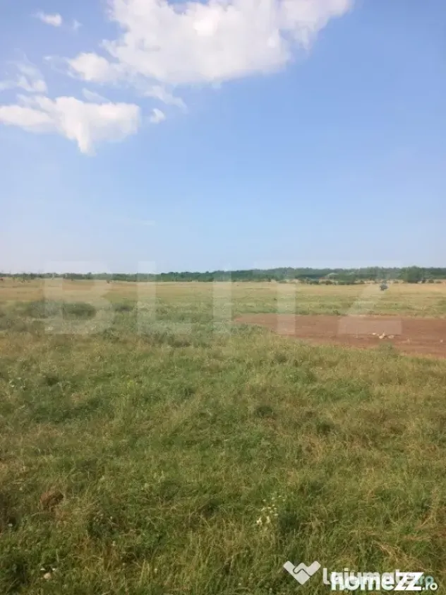 Teren intravilan 5000 mp, Laminorului - Targoviste (Dambovita)