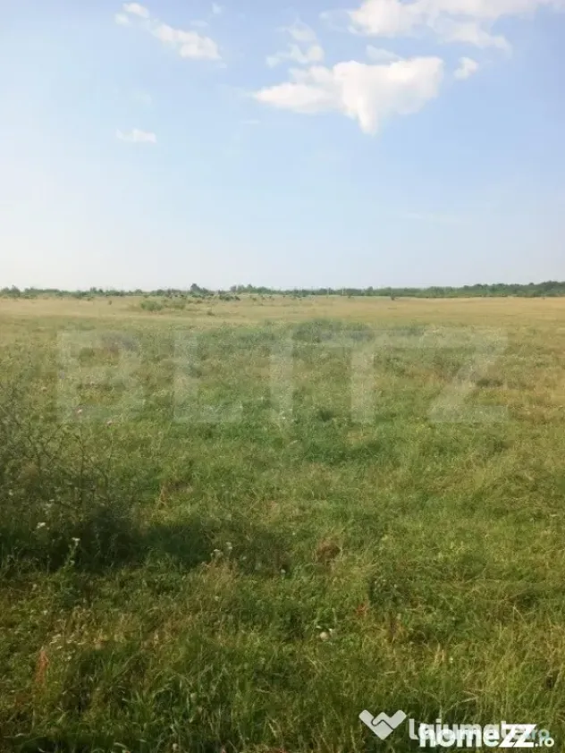 Teren intravilan 5000 mp, Laminorului - Targoviste (Dambovita)