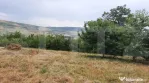 Teren intravilan construibil 2000 mp, Valea Chintaului, curt