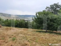 Teren intravilan construibil 2000 mp, Valea Chintaului, curt