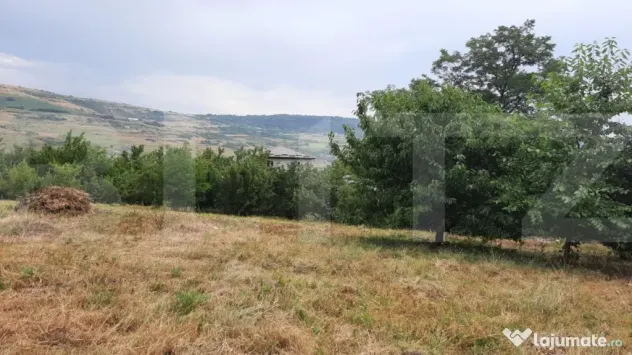 Teren intravilan construibil 2000 mp, Valea Chintaului, curt