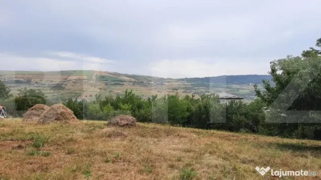 Teren intravilan construibil 2000 mp, Valea Chintaului, curt