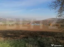 Teren extravilan 5000 mp, Uricani