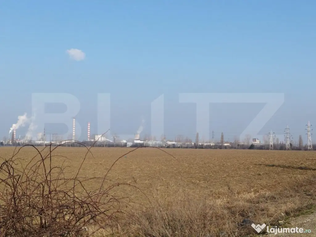 Teren 6,06 Ha, deschidere 145 ml, la DN1A. Barcanesti.