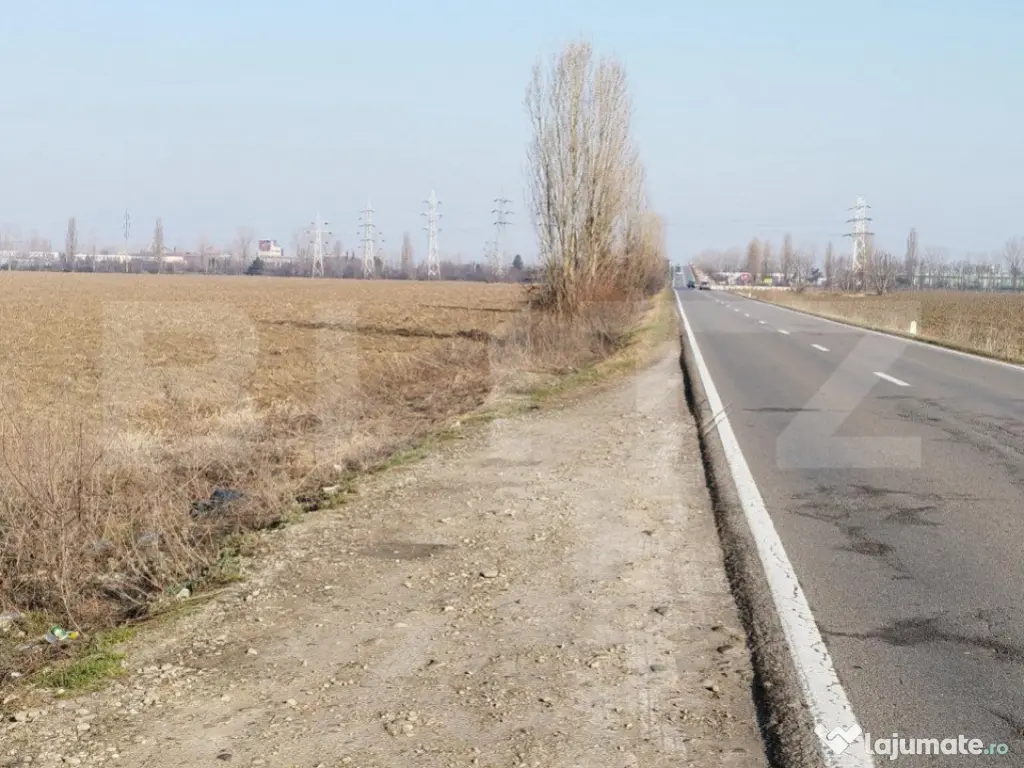 Teren 6,06 Ha, deschidere 145 ml, la DN1A. Barcanesti.