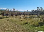 Livada 2100mp - Centura