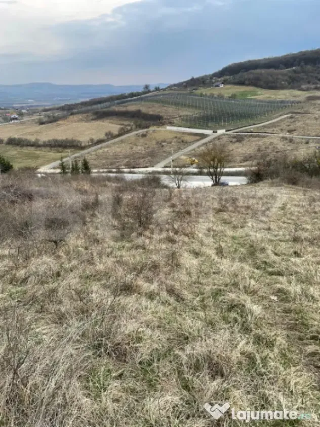 Teren intravilan 1.525 mp – Valea Jelnei, aproape de Bistr