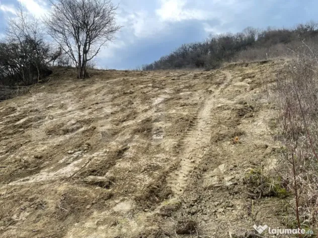 Teren intravilan 1.525 mp – Valea Jelnei, aproape de Bistr