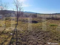 Teren intravilan 711mp,zona Sigmir