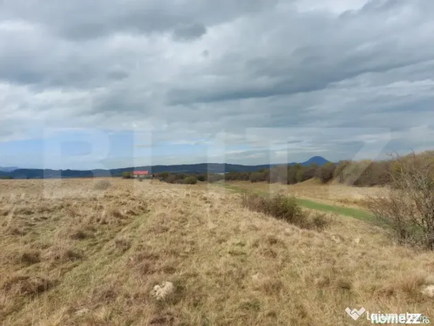 Teren de vanzare in Rasnov zona Glejerie, 10.000 mp - Brasov (Brasov)