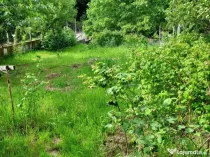 Teren intravilan Faget