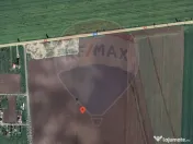 Teren Belciugatele, limita Branesti | DN 3 