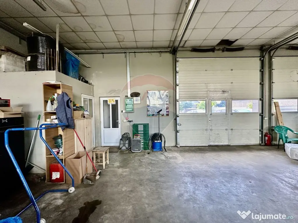 Hala 150 plus birouri Mandresti