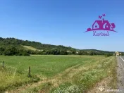 Teren intravilan Hidiselul de Sus 