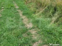 Teren Gura Humorului deschidere la DN