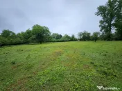 Evadare intr-un Paradis Privat: Proprietate Unică în Valenii de Munte 