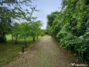 Evadare intr-un Paradis Privat: Proprietate Unică în Valenii de Munte 