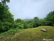 Evadare intr-un Paradis Privat: Proprietate Unică în Valenii de Munte 