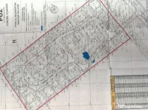 Teren Clinceni pentru ANSAMBLU LOCUINTE