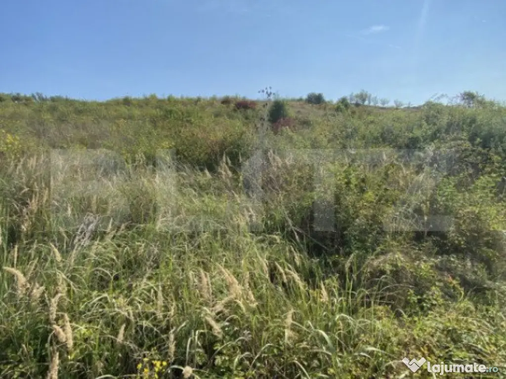 Teren intravilan/extravilan centura Zalau, 8200 mp