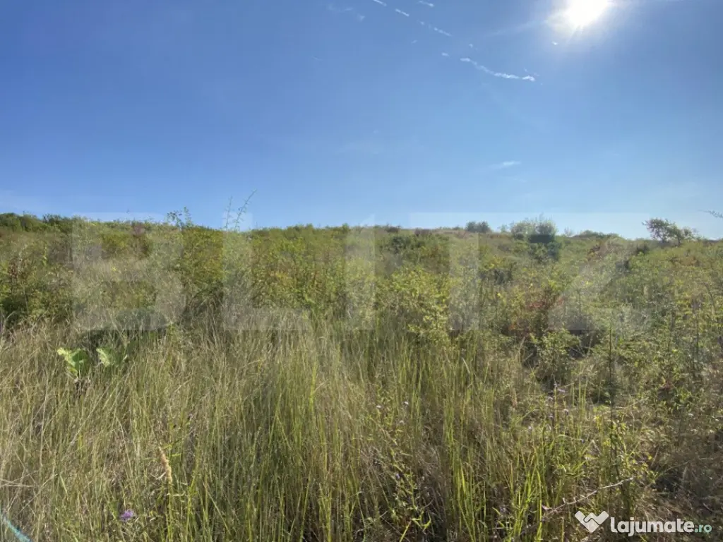 Teren intravilan/extravilan centura Zalau, 8200 mp