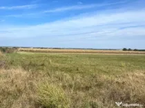 Teren extravilan, 2480 mp, Radauti