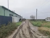 Topraisar langa Biosera Sofra teren 4649 mp cu hala 347 mp 