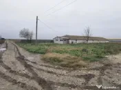 Topraisar langa Biosera Sofra teren 4649 mp cu hala 347 mp 