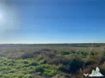 TEREN INTRAVILAN BOREAL