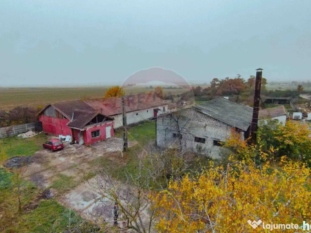 Teren 7500mp și construcții de vânzare, Tilecuș